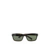 Saint Laurent Brown Acetate Sunglasses Saint Laurent