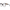 Tod's Chic Brown Round Full-Rim Women's Glasses Tod's