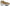 Jimmy Choo Golden Glamour Mesh Leather Sneakers Jimmy Choo