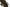 Karl Lagerfeld Enchanting Sage Green Leather Tote Karl Lagerfeld