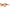 Emilio Pucci Multicolor Women Sunglass Emilio Pucci