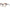 Emilio Pucci Brown Women Glasses Frame Emilio Pucci