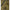 Refrigiwear Green Nylon Men Jacket Refrigiwear