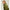 Refrigiwear Green Polyamide Women Jacket Refrigiwear