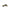 Cerruti 1881 Black Calfskin Women Sandal Cerruti 1881