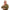 Lozza Multicolor Unisex Glasses Frame Lozza