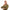 Lozza Brown Unisex Glasses Frame Lozza