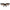 Emilio Pucci Brown Women Sunglass Emilio Pucci