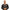 Zadig & Voltaire Brown Unisex Glasses Frame Zadig & Voltaire