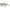 Scotch & Soda Brown Women Sunglass Scotch & Soda
