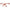 Bally Brown Unisex Glasses Frame Bally
