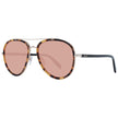 Emilio Pucci Brown Women Sunglass Emilio Pucci