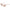 Jimmy Choo Multicolor Resin Sunglasses Jimmy Choo