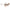 Jimmy Choo Brown Acetate Sunglasses Jimmy Choo