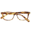 Gant Brown Plastic Frames Gant