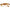 Gant Brown Plastic Frames Gant