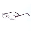 Gant Purple Plastic Frames Gant