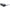 Nike Black Injected Sunglasses Nike