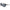 Nike Black Injected Sunglasses Nike