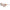 Nike Multicolor Injected Sunglasses Nike