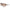 Nike Brown Injected Sunglasses Nike