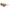 Nike Brown Injected Sunglasses Nike