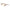 Bottega Veneta Bicolor Acetate Frames Bottega Veneta