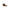 UGG Brown Suede Leather Boot UGG