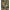 The North Face Army Nylon Men Jacket The North Face