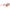 Karl Lagerfeld Orange Acetate Sunglasses Karl Lagerfeld