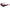 Karl Lagerfeld Red Injected Sunglasses Karl Lagerfeld