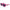 Karl Lagerfeld Multicolor Injected Sunglasses Karl Lagerfeld