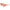 Karl Lagerfeld Orange Injected Sunglasses Karl Lagerfeld