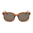 Zadig & Voltaire Brown Acetate Sunglasses Zadig & Voltaire