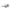Lacoste Black Injected Sunglasses Lacoste