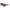 Lacoste Brown Acetate Sunglasses Lacoste