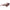 Lacoste Brown Acetate Sunglasses Lacoste