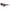 Lacoste Red Acetate Sunglasses Lacoste
