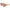 Lanvin Brown Bio Injected Sunglasses Lanvin