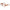 Lanvin Brown Acetate Frames Lanvin
