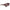 Salvatore Ferragamo Bordeaux Acetate Sunglasses Salvatore Ferragamo