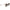 Salvatore Ferragamo Gold Metal Sunglasses Salvatore Ferragamo