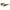 Missoni Multicolor Acetate Sunglasses Missoni