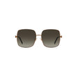Jimmy Choo Brown Metal Sunglasses Jimmy Choo