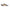 Burberry Black Leather New Salmond Sneakers Burberry