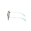 Emilio Pucci Brown Acetate Frames Emilio Pucci