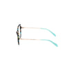 Emilio Pucci Brown Acetate Frames Emilio Pucci