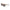 Levi's Brown Resin Sunglasses Levi's