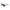 Levi's Black Resin Sunglasses Levi's
