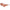 Ferragamo Orange Injected Sunglasses Ferragamo